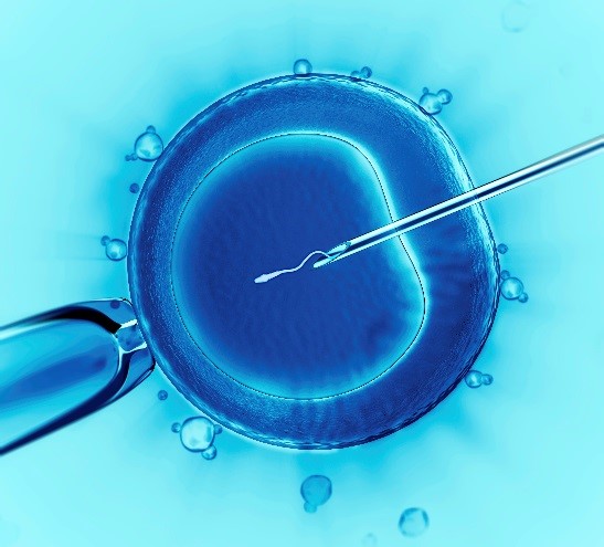 IVF